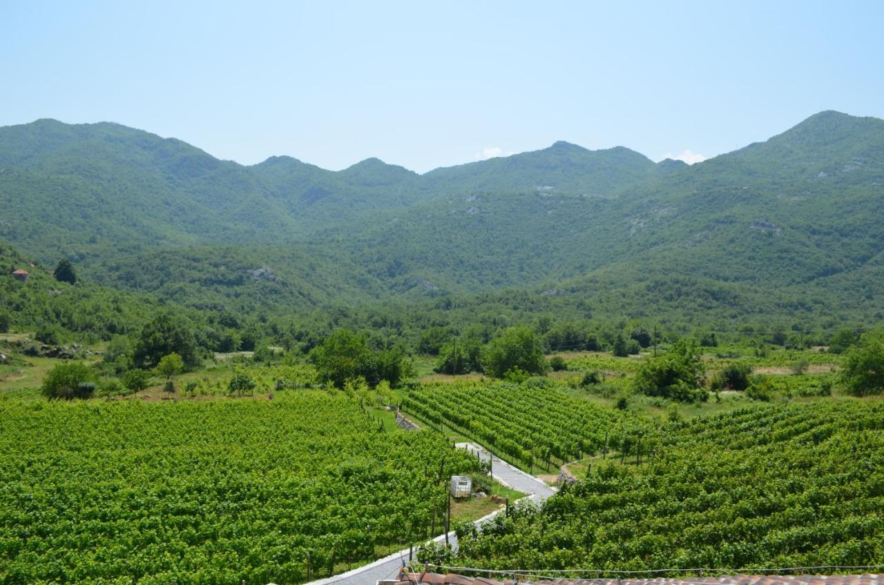 Markovic Winery And Estate Apartments Cetinje Extérieur photo