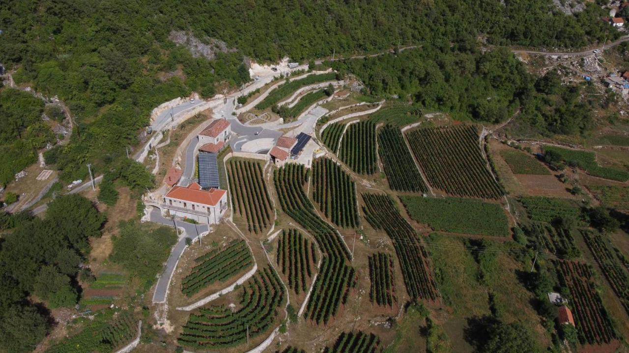 Markovic Winery And Estate Apartments Cetinje Extérieur photo